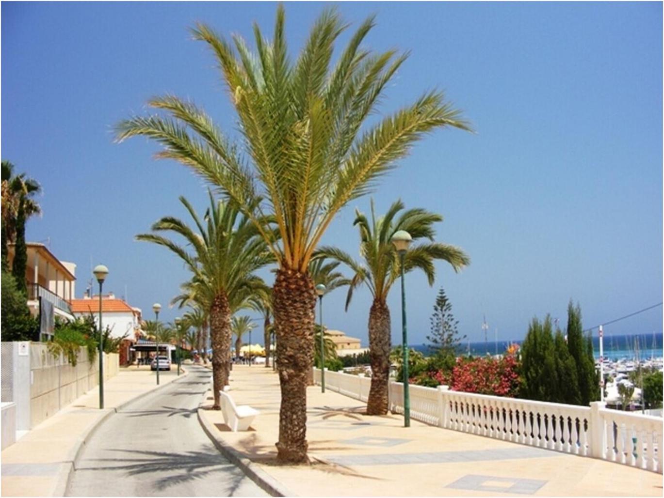 Torre De La Horadada - Modern And Comfortable 2 Bedroom Apartment Close To The Beach Torre de la Horadada 外观 照片